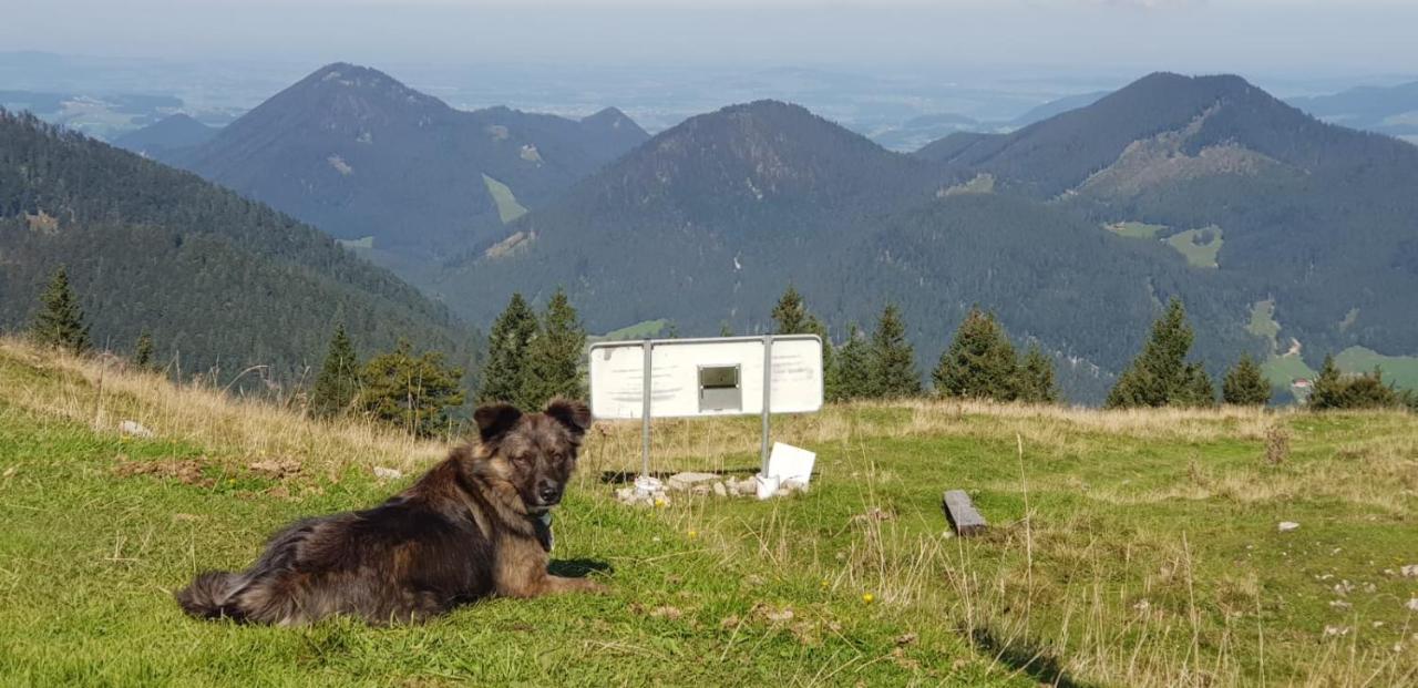 Hotel Alte Post Faistenau Εξωτερικό φωτογραφία